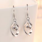 Zircon Reduction Silver Earrings - Image 8